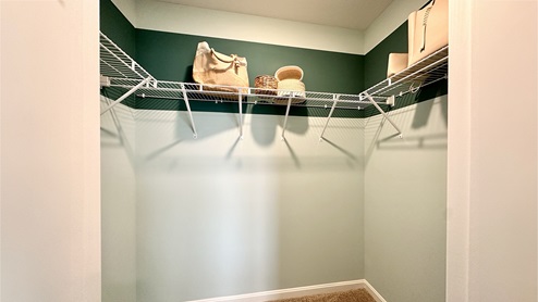 The primary bedroom has an ample walk-in closet.