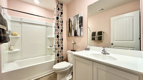 The guest bathroom includes a vanity, toilet, and shower tub.