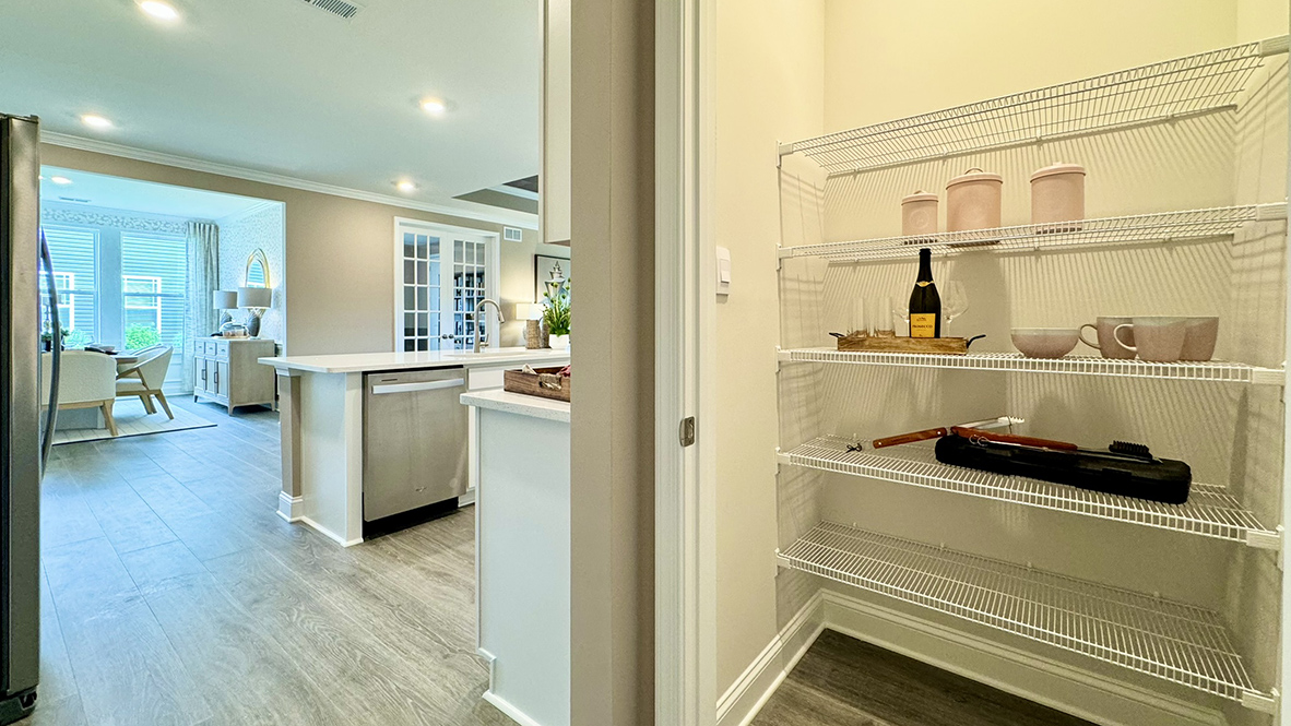 Walk-in pantry in kitchen.