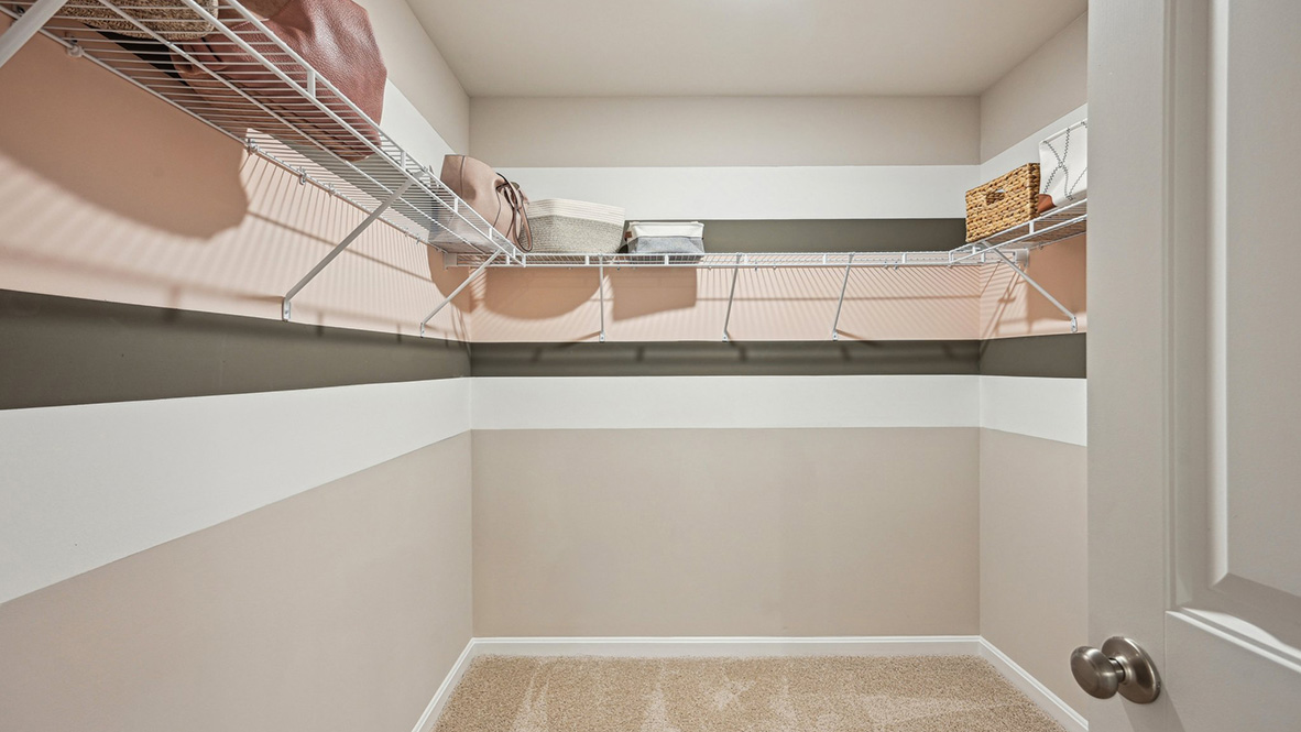 The primary bedroom has a large walk-in closet.