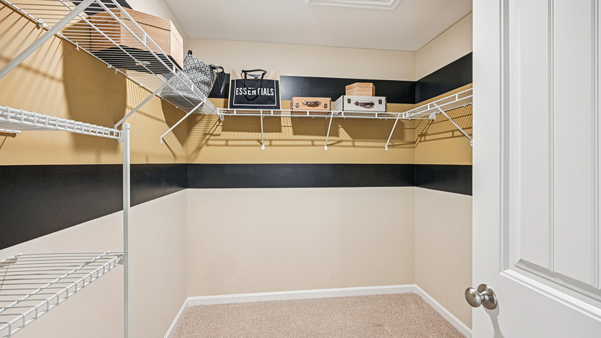 The primary bedroom has a large walk-in closet.