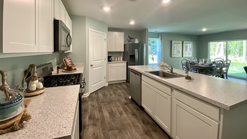Open concept kitchen overlooking living area.