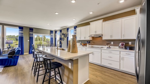 A gourmet kitchen is adorned with a sizable, contemporary island.