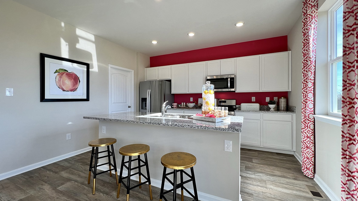 Galen kitchen with white cabinets and stainless steel appliances.