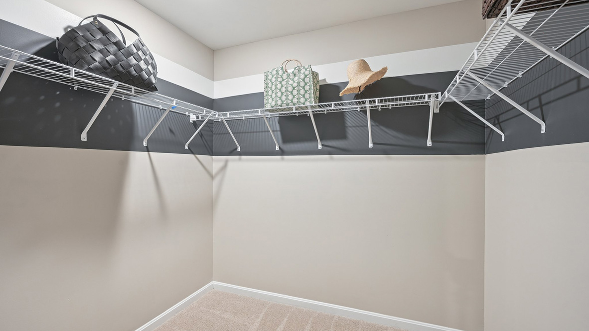 The primary bedroom has a large walk-in closet.