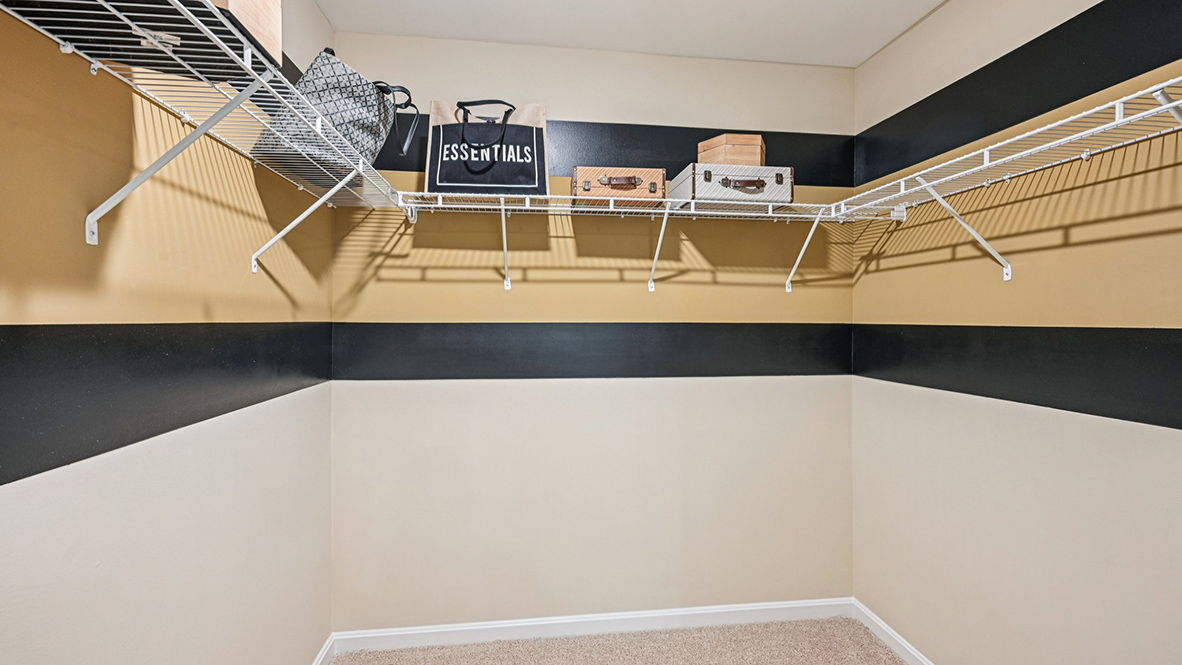 The primary bedroom has a large walk-in closet.