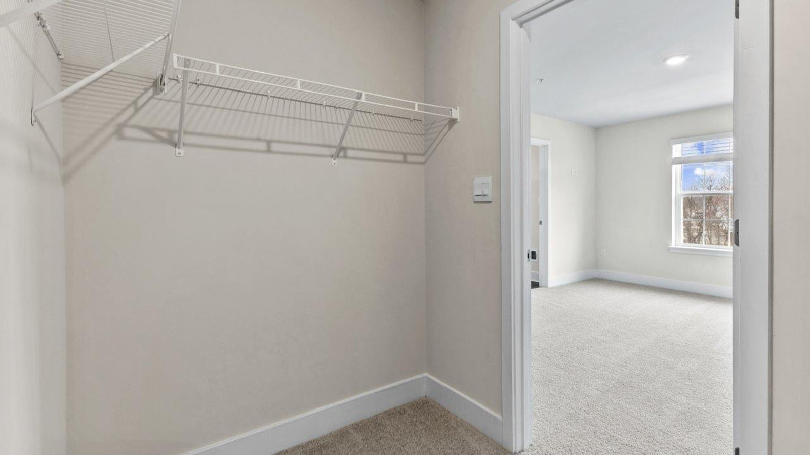 walkout closet