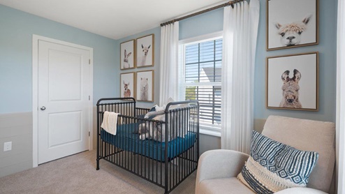 Spring Hills Lafayette Townhome Interior