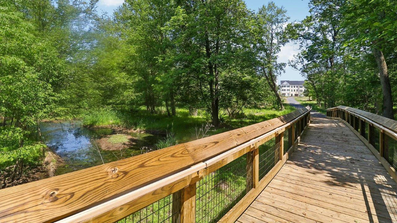 walking path