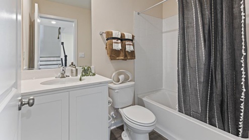 lower level full bathroom