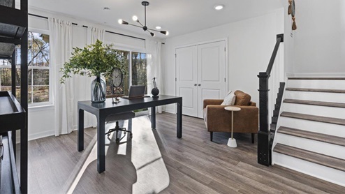 lower level den staged as office