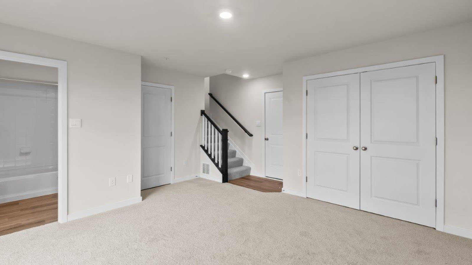 lower level bedroom or rec room