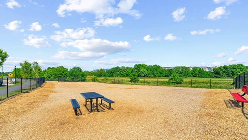 Renn Quarter Clubhouse Dog Park