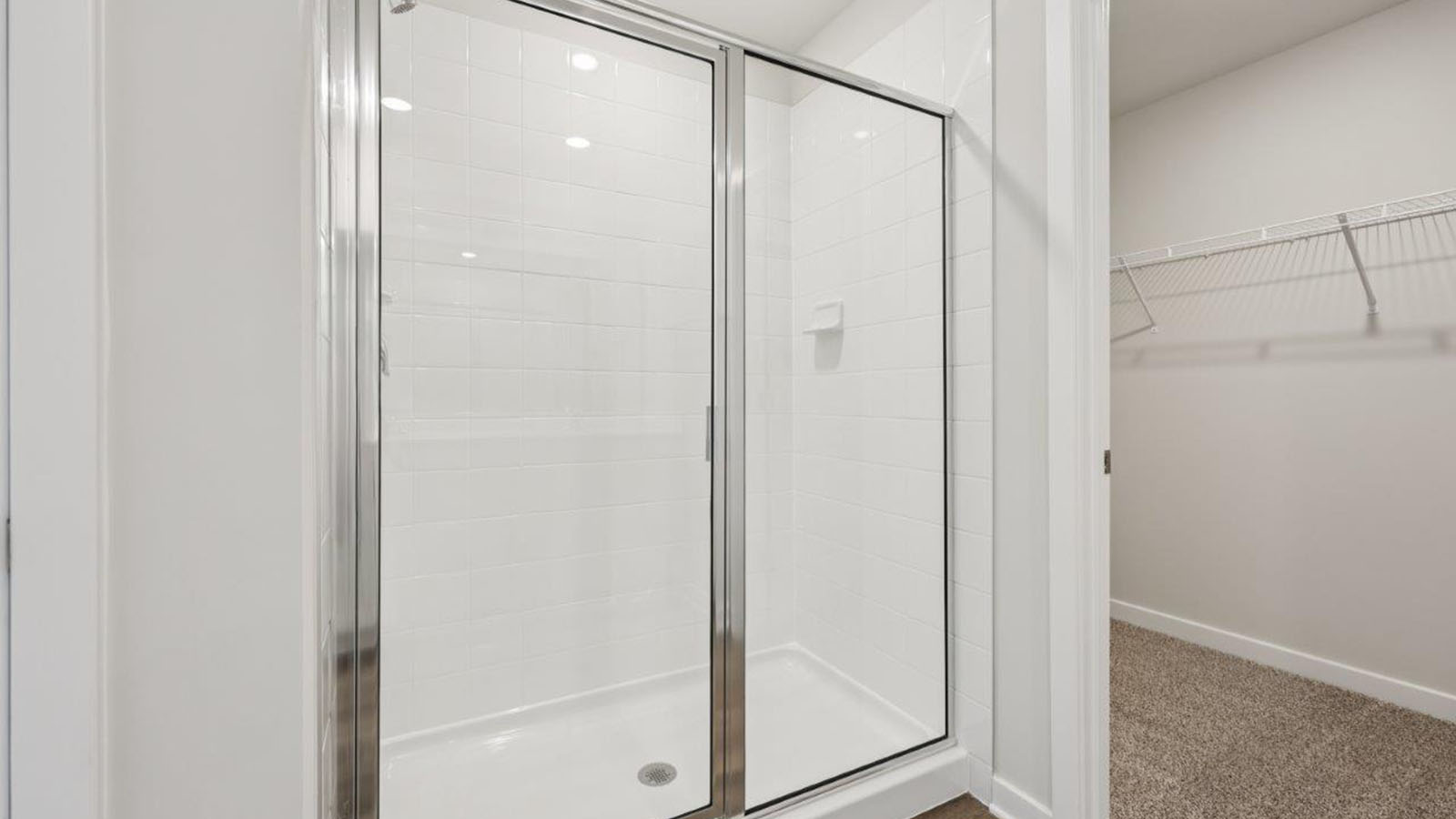 master bathromo shower