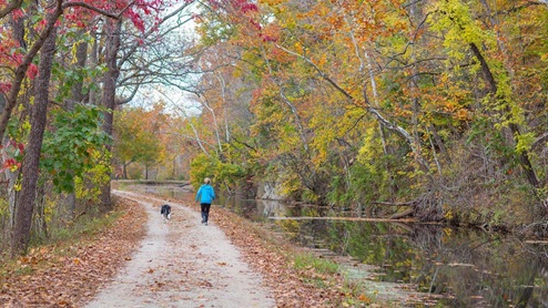 woman walking dog at canal