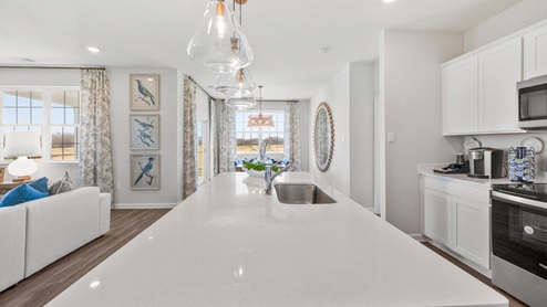 kitchen sink in island