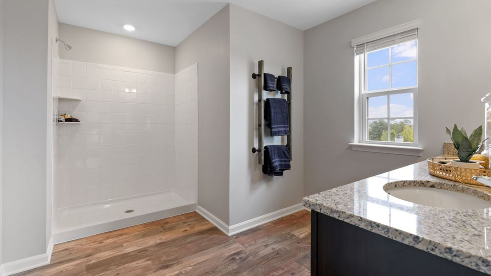 primary bathroom with standing shower