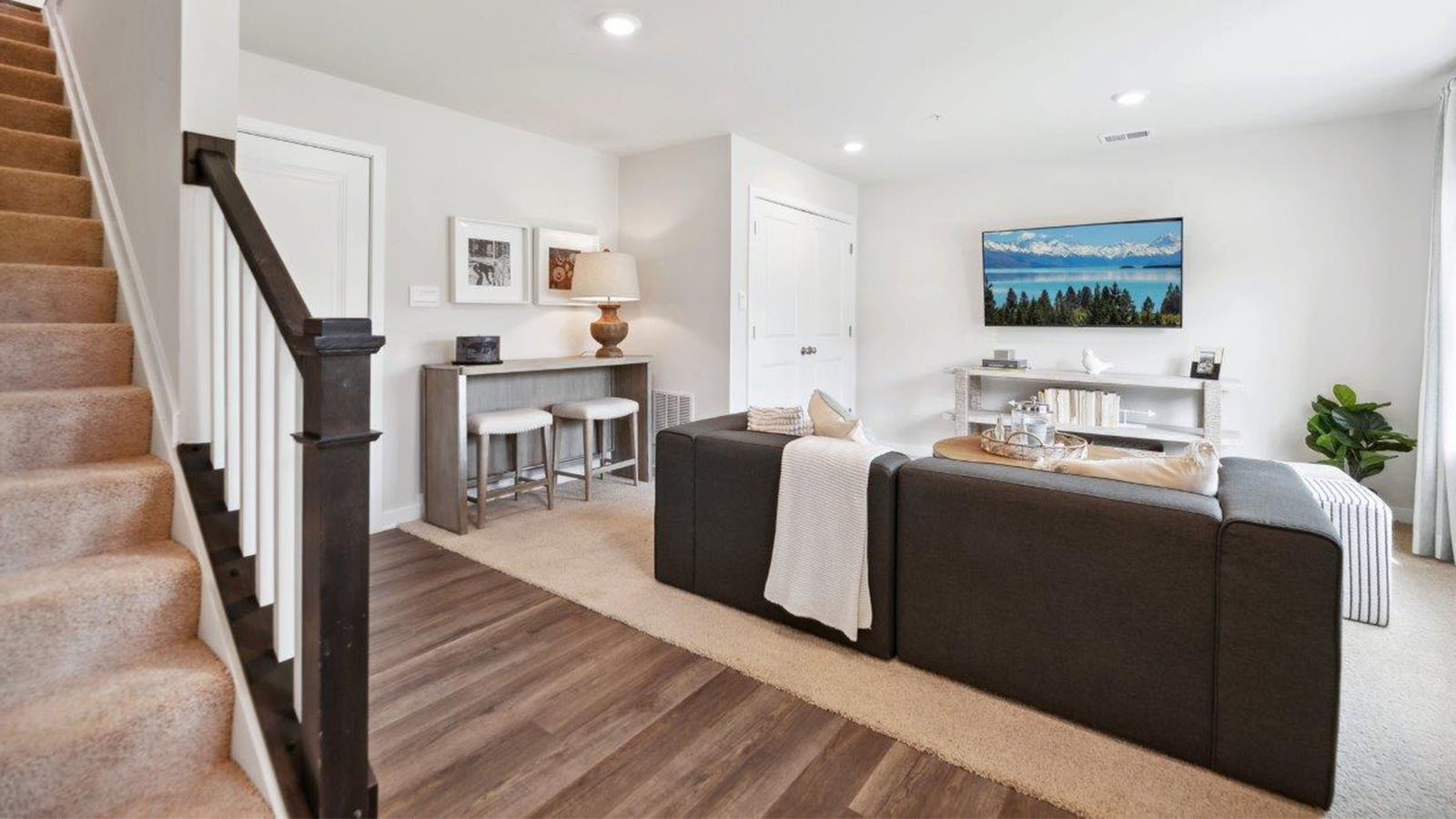 lower level rec room