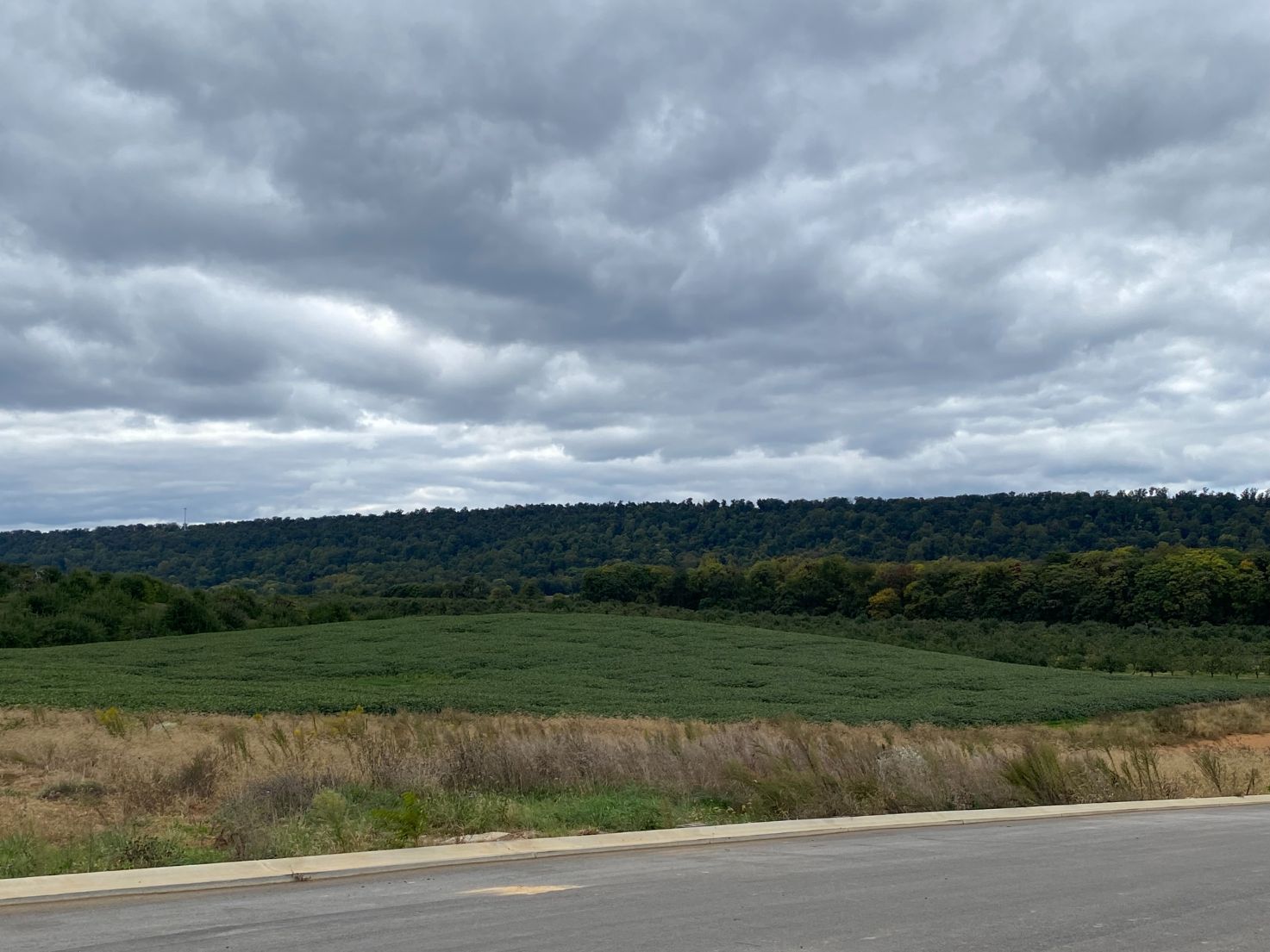 New Homes in Red Hill Martinsburg, WV D.R. Horton