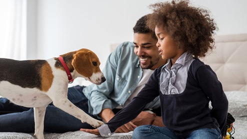 Father Daughter Dog