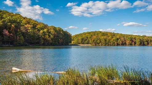 Local Park with Water Views