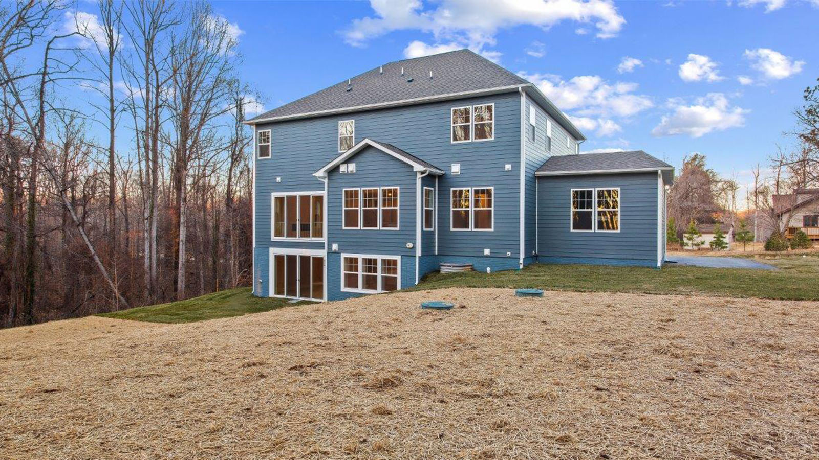 rear of home showing basement walkout