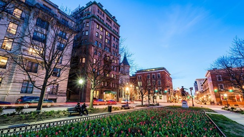 baltimore park with flowers