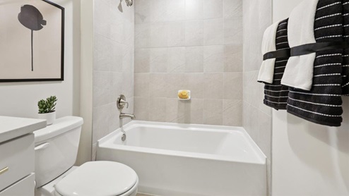 finished basement bathroom