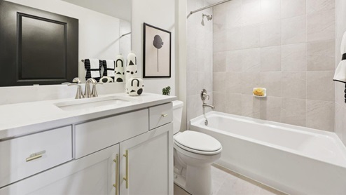 finished basement bathroom
