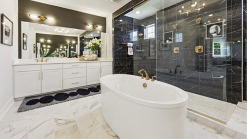 master bathroom soaking tub and glass shower