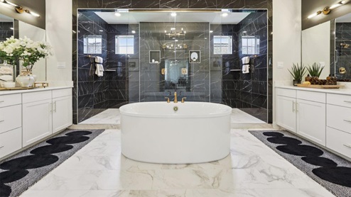 master bathroom soaking tub and glass shower