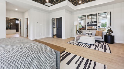 master bedroom with tray ceiling