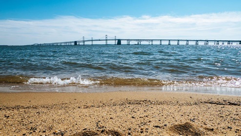 local beach