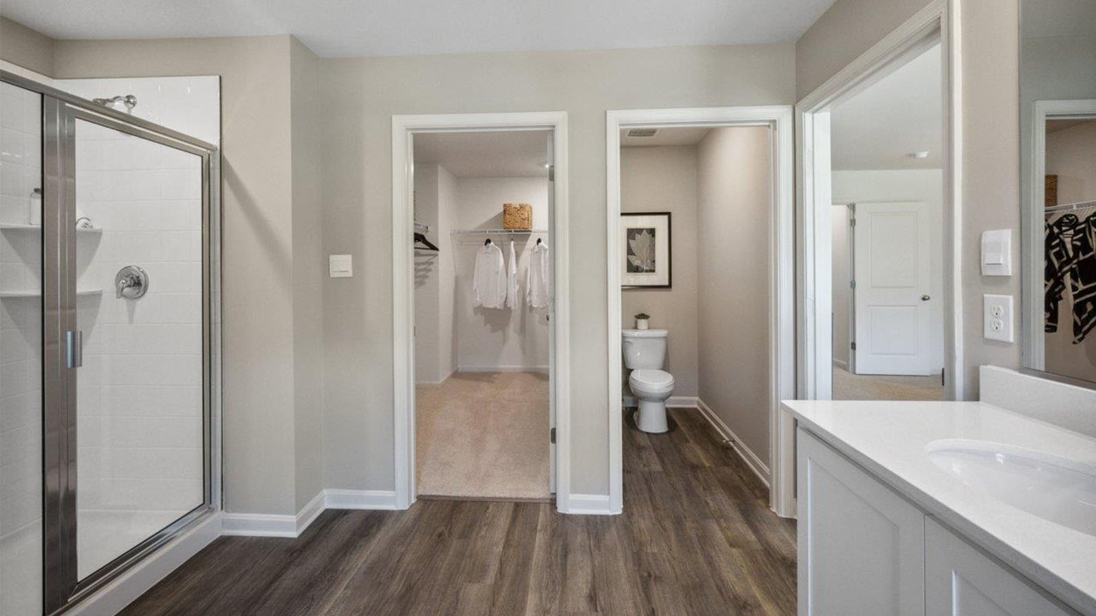 master bathroom shower and walk-in closet
