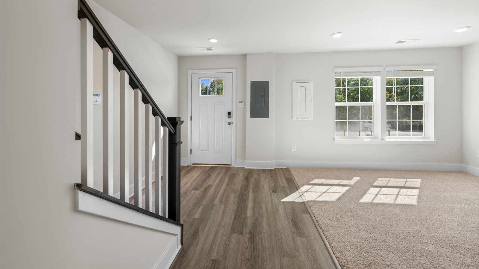 lower level rec room with carpet