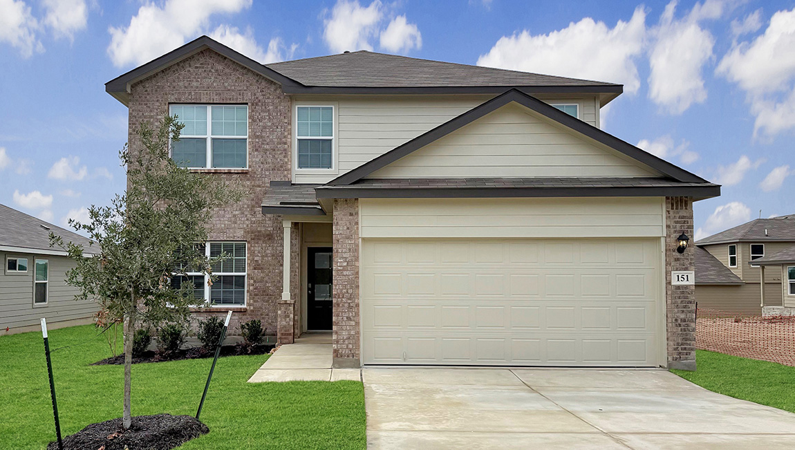 151 Sand Plover exterior