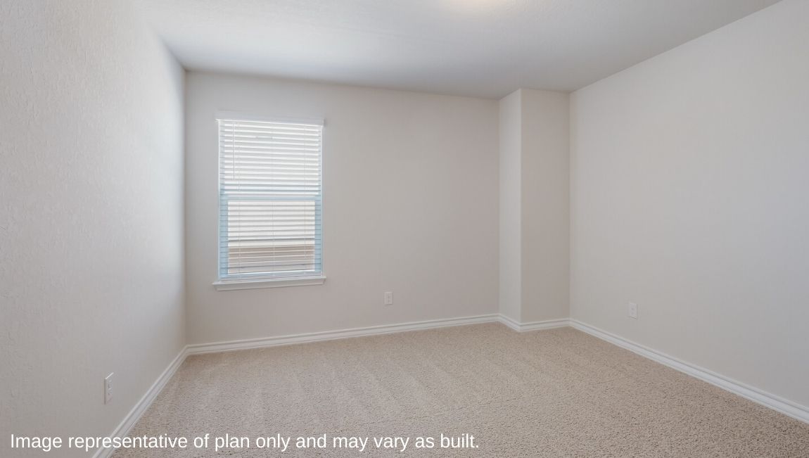 secondary bedroom with carpet and large window