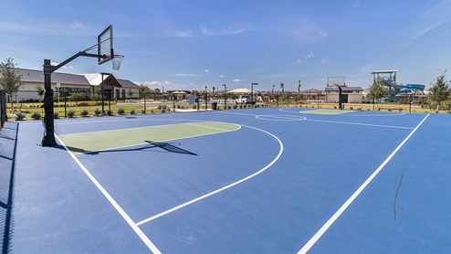 Basketball