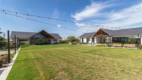 Lawn