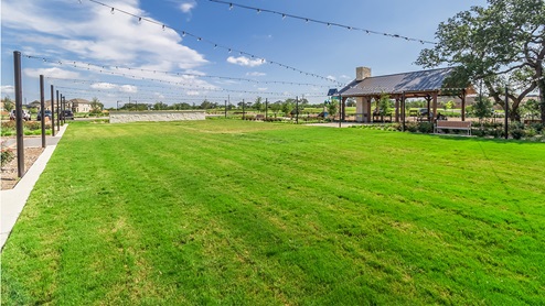 Lawn