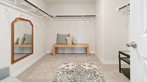 primary walk in closet with carpet