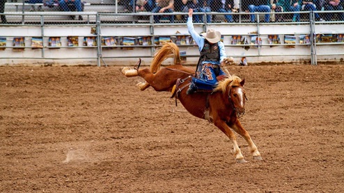 san antonio stock show and rodeo