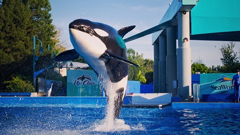 seaworld amusement park