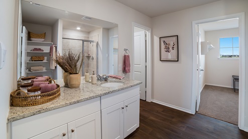 Spacious primary bathroom with walk-in shower and grand walk-in closet.