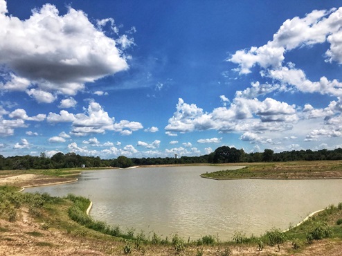 Midtown Reserve Community lake.