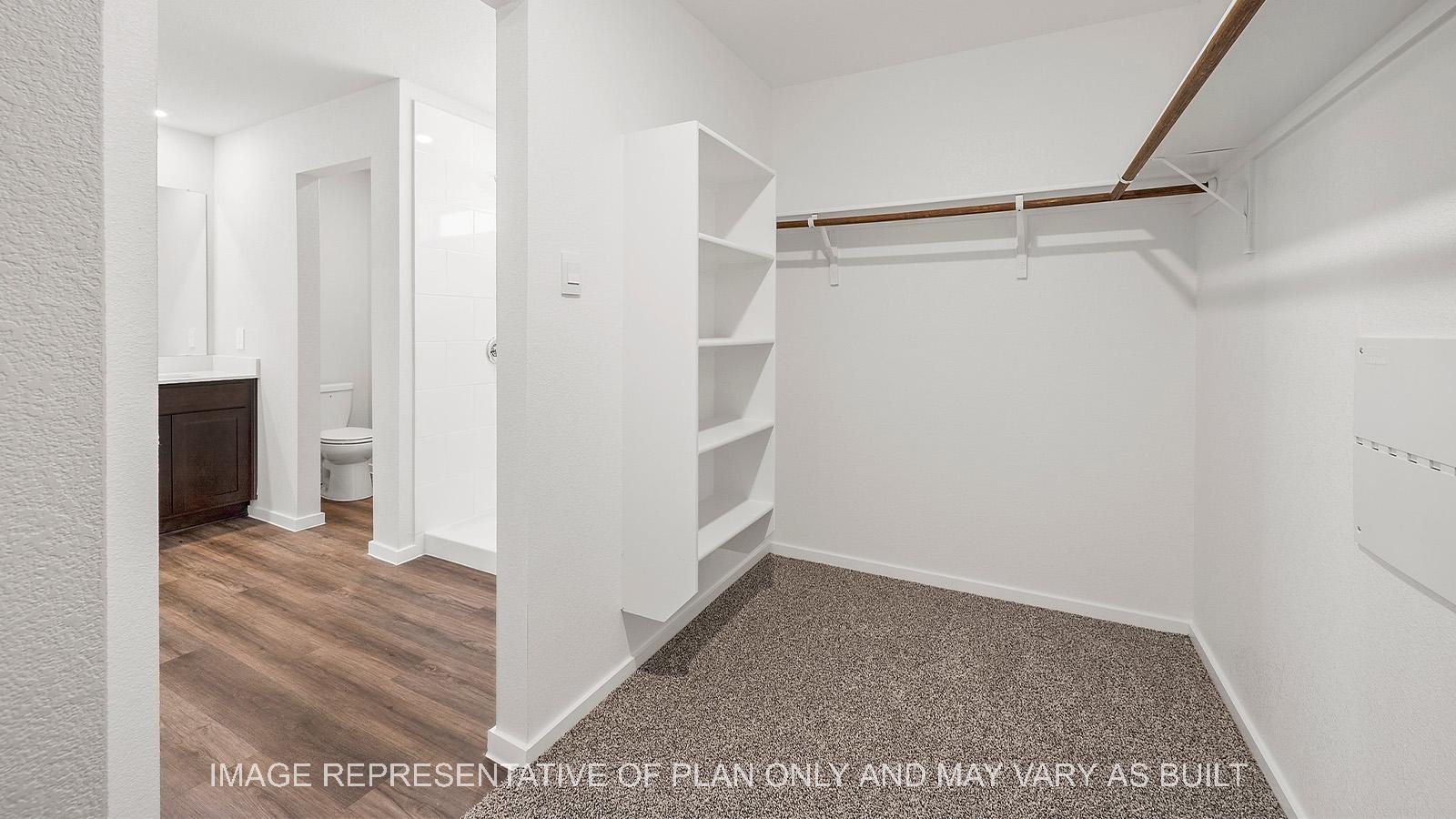 Diana primary walk-in closet with bathroom access.