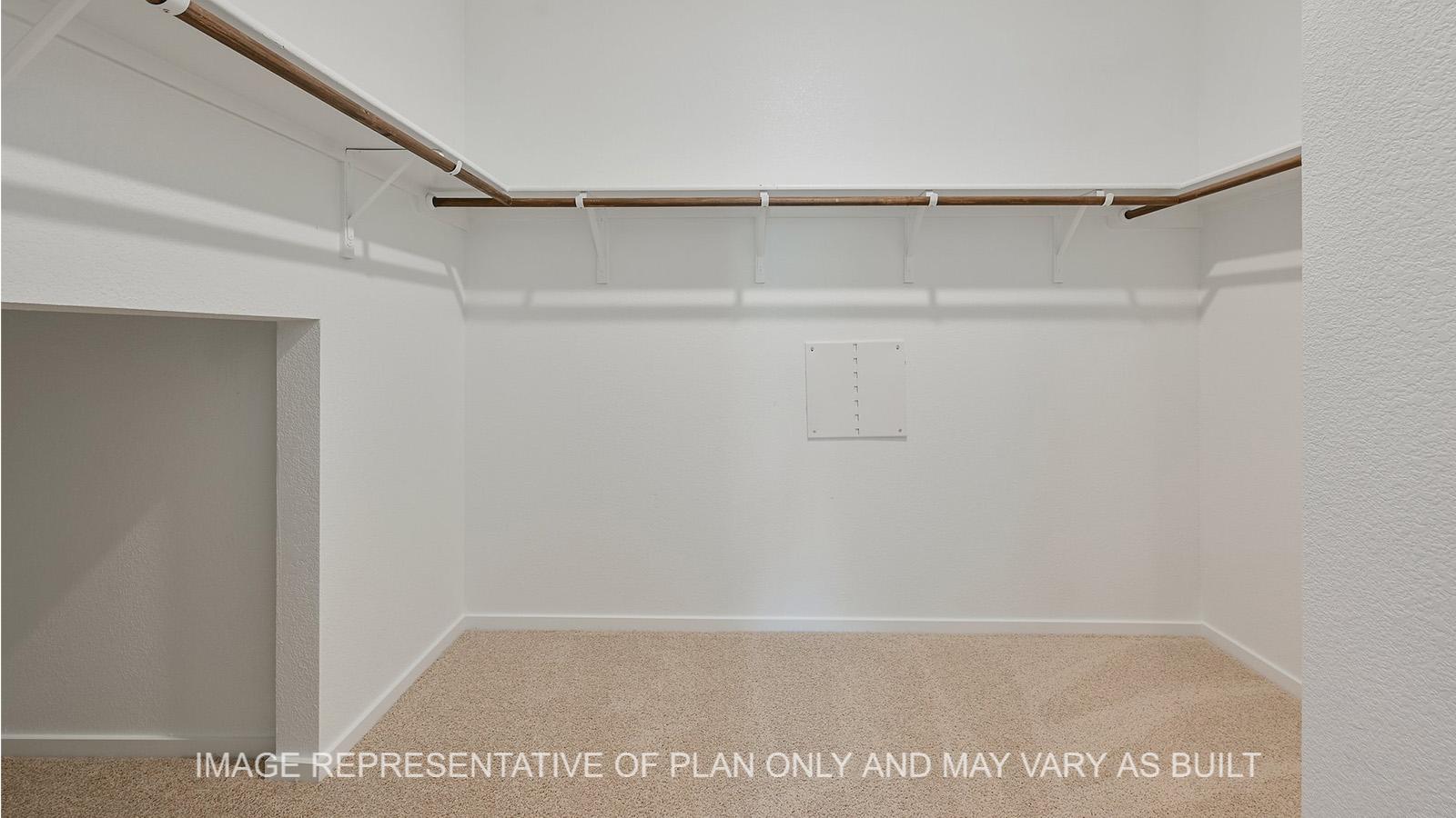 Jasmine primary walk-in closet with carpeted flooring and storage.