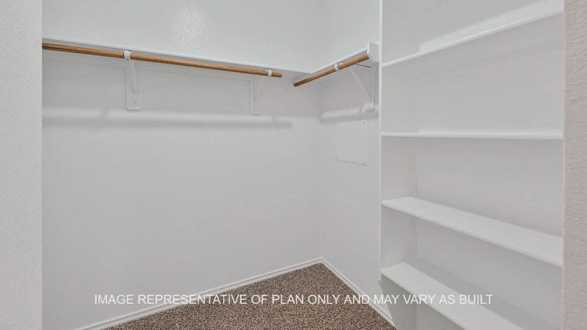 Ashburn primary walk-in closet with carpeted flooring.