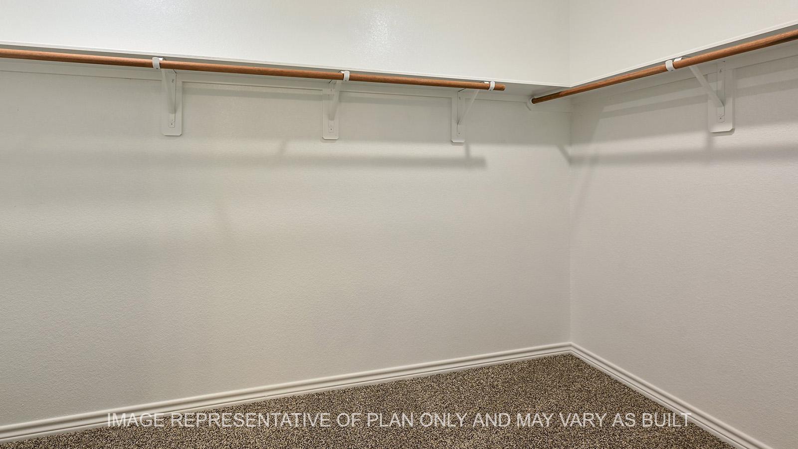 Everett primary walk-in closet with carpeted flooring.