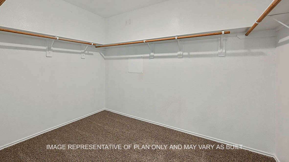 Kingston primary walk-in closet with carpeted flooring.
